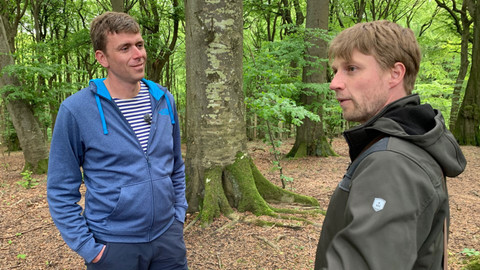 Postřehy odjinud - Německé pobřeží očima Pavla Poláka