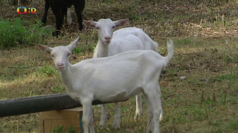 Terčin zvířecí svět - 5. května 2023