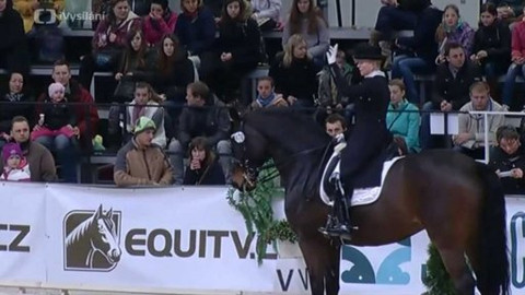 Jezdectví - Jezdecký festival v Lysé nad Labem