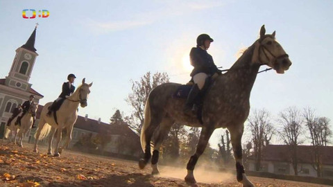 Zprávičky - 1. listopadu 2021