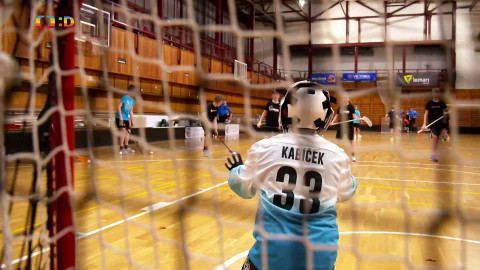 Lvíčata - 1. března