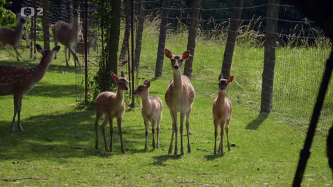 Krajina Dana Bárty - 6/6 Krajina s novými cestami