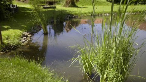 Kapka vody - Čištění vody