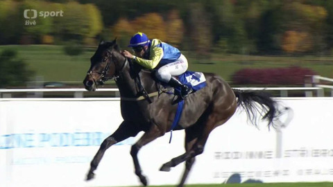 Dostihy - Svatováclavská cena a Cena zimního favorita