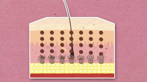 To je něco! - Proč mají někteří lidé pihy?