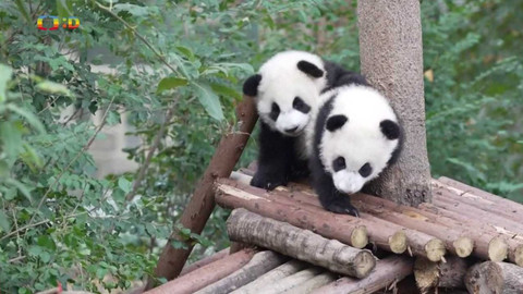 Zprávičky - 10. ledna 2023