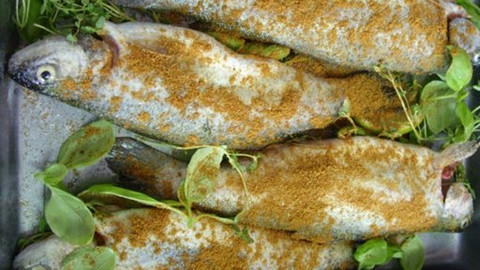 Kuchařská pohotovost - Jak vaří rybáři