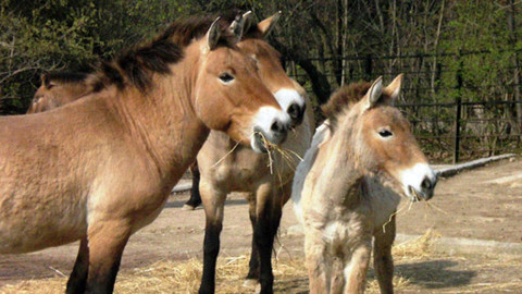 Máte mě! - 20. května 2012