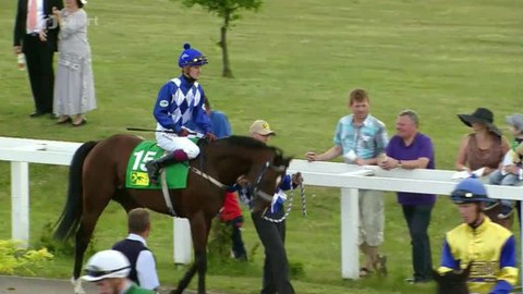 Jezdectví - České derby