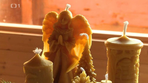 Toulavá kamera - 29. listopadu 2020