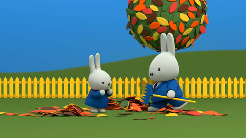 Miffy a její dobrodružství - 8/78 Miffy a listy