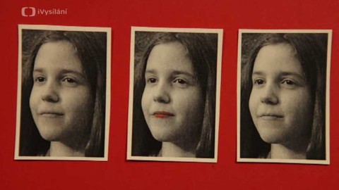 Slovíčka - Image