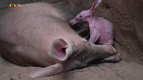 Zprávičky - 17. února 2022