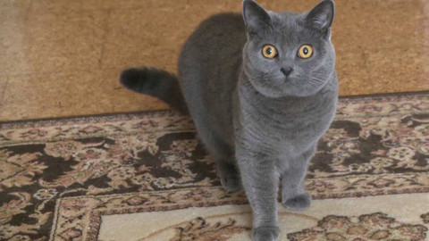 Týden v regionech (Brno) - 16. srpna