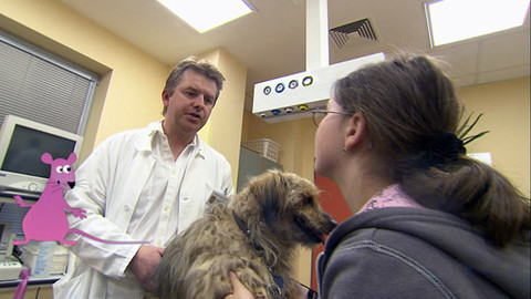 Zoománie - Epizoda 5/17