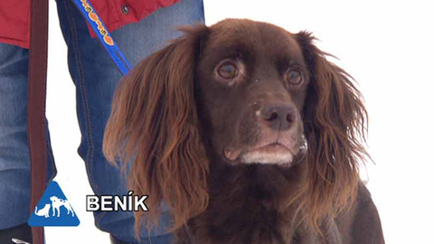 Chcete mě? - Chcete je?