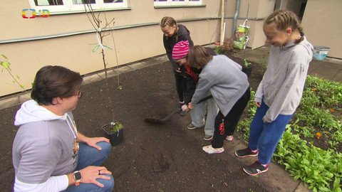 Zprávičky - 11. října