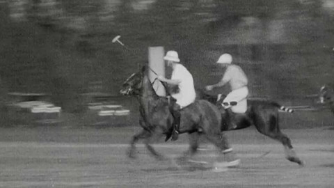 Archiv D - Aréna světového sportu