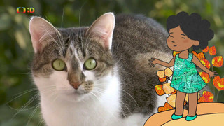 Velká kniha o zvířátkách II