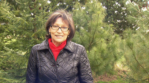 Chcete mě? - 29. dubna 2012