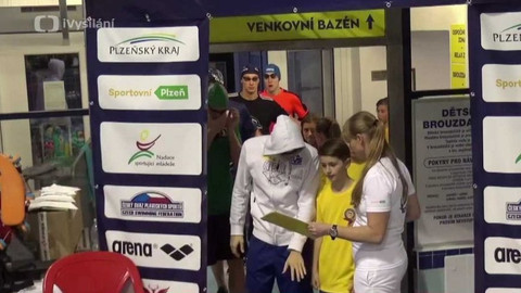 Plavání - Plzeňské sprinty