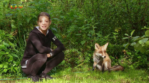 Terčin zvířecí svět - 4. listopadu 2022