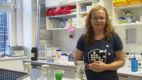 Televizní klub neslyšících - 11. listopadu 2020