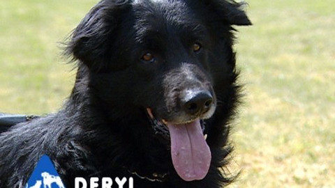 Chcete mě? - Chcete je?