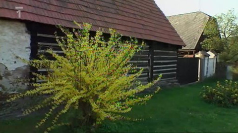 Toulavá kamera - 15. května 2011