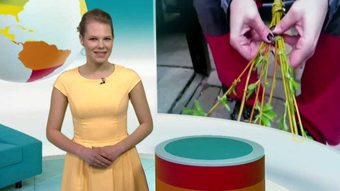 Zprávičky - 23. dubna 2017