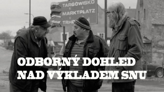 Odborný dohled nad výkladem snu