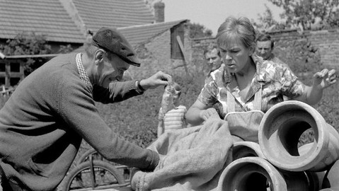 Bakaláři - Křeček