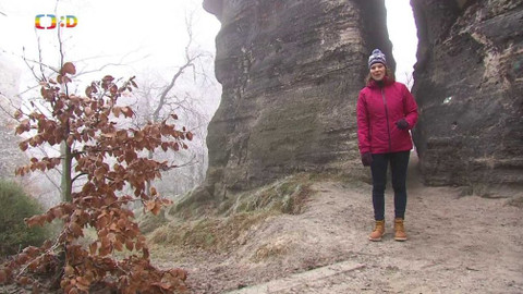 Zprávičky - 27. prosince 2020