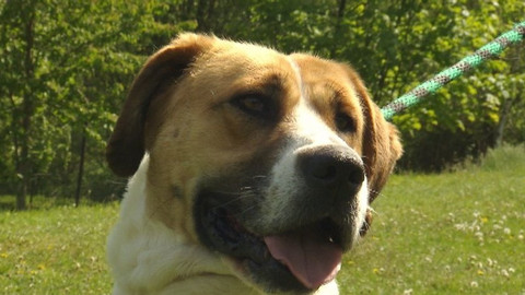 Chcete mě? - Chcete je?