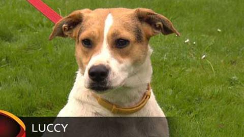 Chcete mě? - Chcete je?