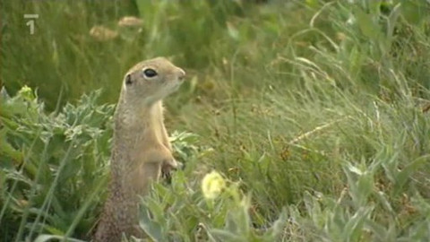 Toulavá kamera - 29. srpna 2010