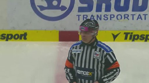 Buly hokej - HC Plzeň 1929 - Rytíři Kladno