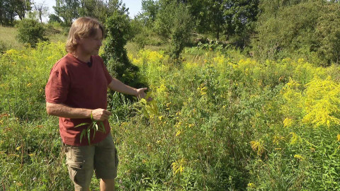 Nedej se! - Ochránce zarůstajících rájů