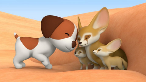 Leo, strážce přírody - Fenek berberský