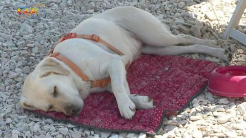 Zprávičky - 6. srpna 2019