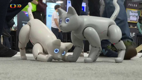 Zprávičky - 12. ledna 2020