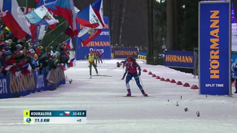 Světový pohár v biatlonu - Nové Město na Moravě (ČR)