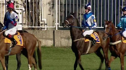 Velká pardubická - historie - 2007