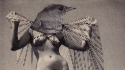 Artmix - 9. ledna 2012