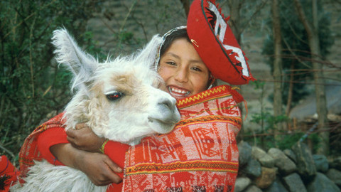 Můj mazlíček - 26/26 Paulino a jeho kajmani