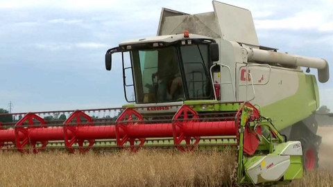 90’ ČT24 - Letní covidová vlna?