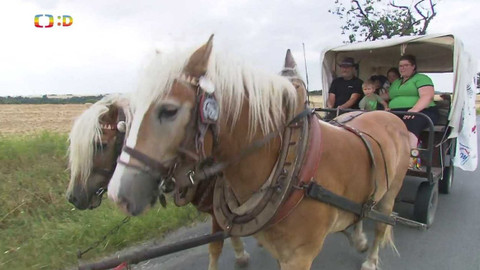 Zprávičky - 24. července 2023