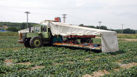 Na cestě - Na cestě po Znojemsku