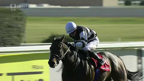 Dostihy - 100. Cena prezidenta republiky