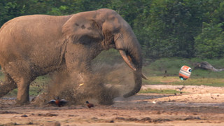 Andy a cesta kolem světa